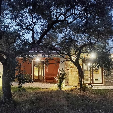 Elea Stone Houses In Organic Quiet Olive Grove, Prinos, Thassos Eksteriør bilde