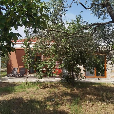 Elea Stone Houses In Organic Quiet Olive Grove, Prinos, Thassos Rom bilde