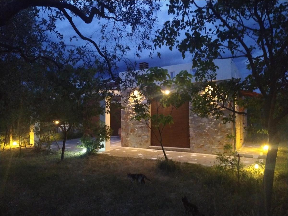 Elea Stone Houses In Organic Quiet Olive Grove, Prinos, Thassos Eksteriør bilde