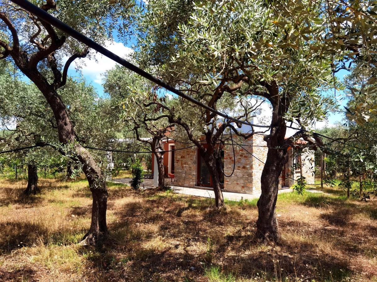 Elea Stone Houses In Organic Quiet Olive Grove, Prinos, Thassos Eksteriør bilde