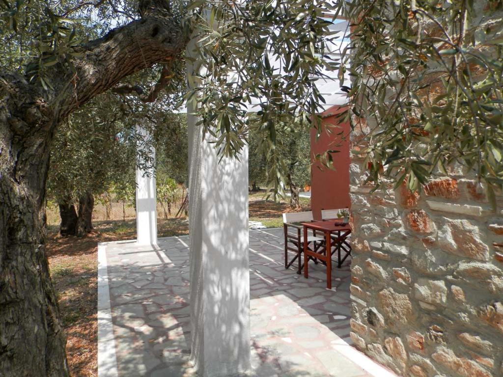 Elea Stone Houses In Organic Quiet Olive Grove, Prinos, Thassos Eksteriør bilde
