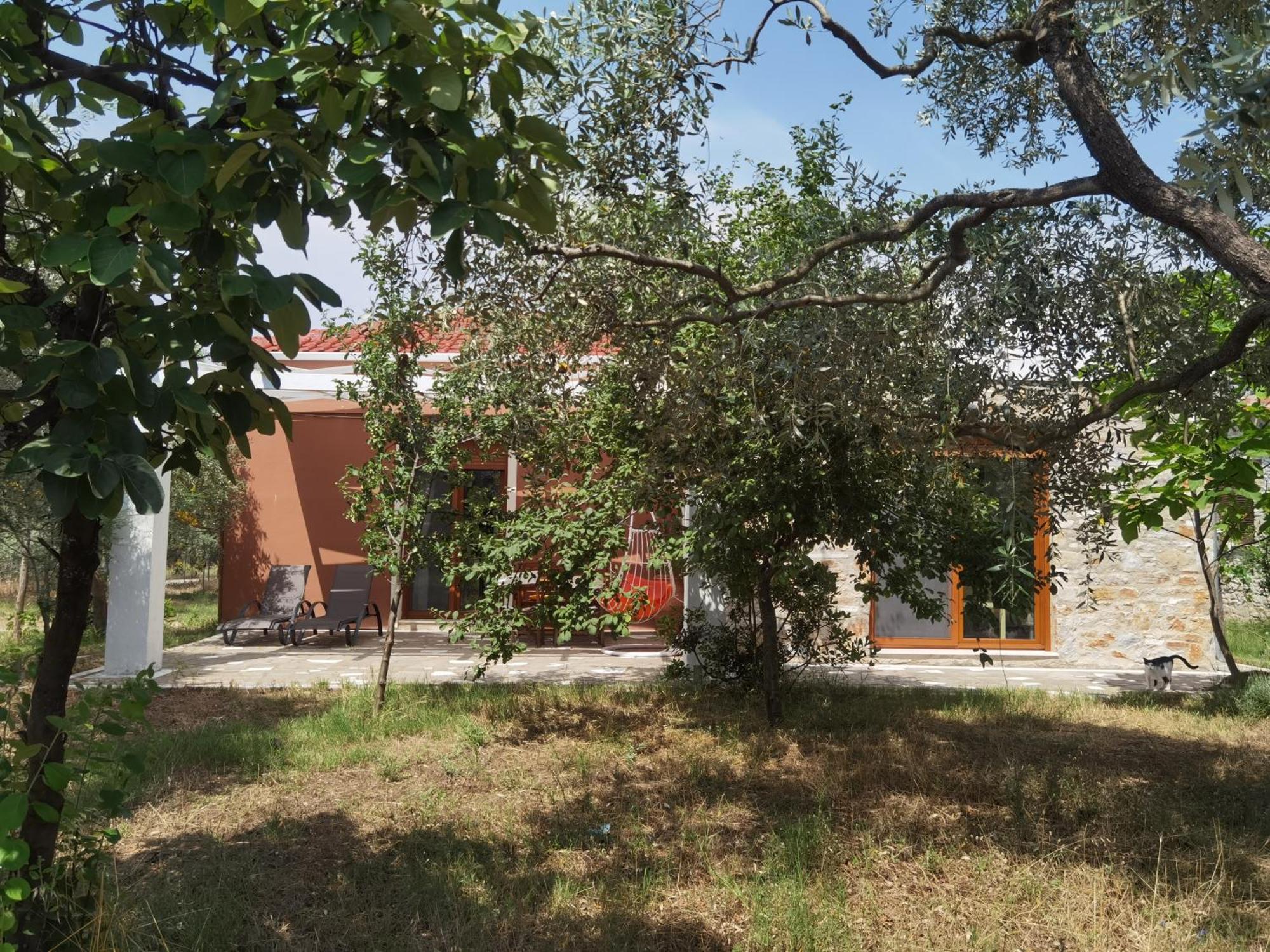 Elea Stone Houses In Organic Quiet Olive Grove, Prinos, Thassos Rom bilde