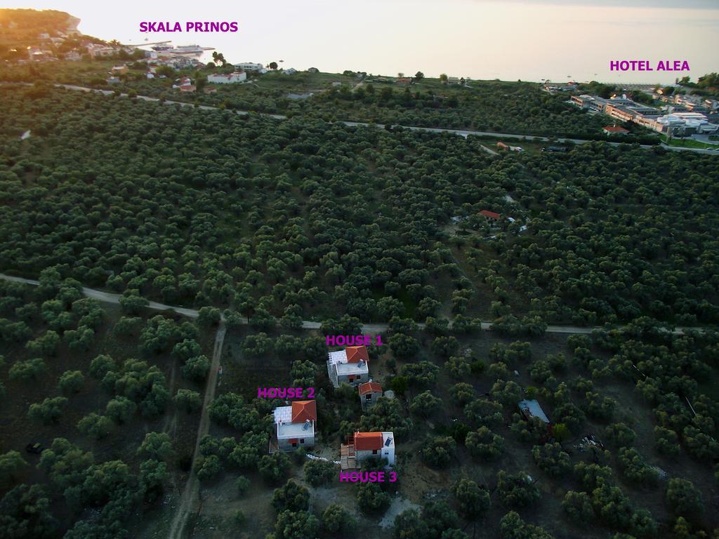 Elea Stone Houses In Organic Quiet Olive Grove, Prinos, Thassos Eksteriør bilde
