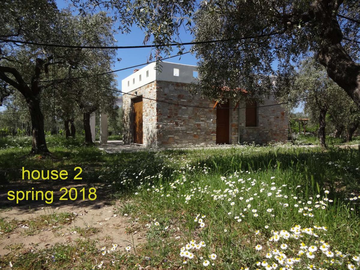 Elea Stone Houses In Organic Quiet Olive Grove, Prinos, Thassos Eksteriør bilde
