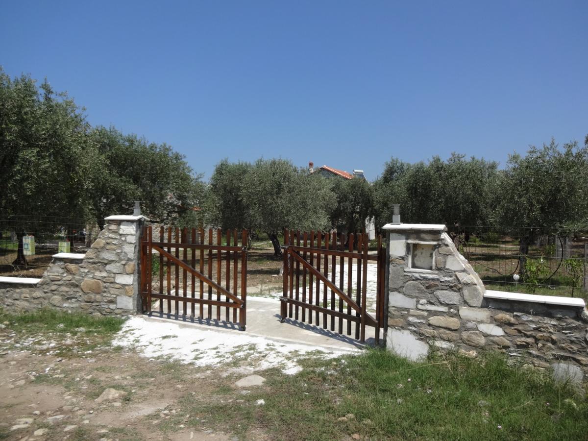 Elea Stone Houses In Organic Quiet Olive Grove, Prinos, Thassos Eksteriør bilde